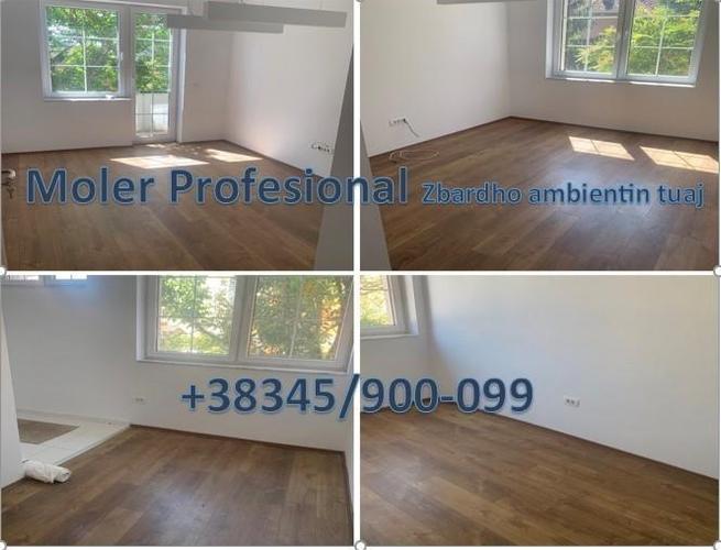 Moler Profesional(Shtepi,Banesa,Lokale etj)